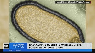 Scientists warn about quotzombiequot virus [upl. by Eireva]