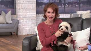 Charlie Bears Collectible 21quot Dennis Plush Bear on QVC [upl. by Eltsirc]