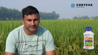 Pexalon  Corteva  Naresh Kumar  Farmer Testimonial  Haryana  Hindi  Rice [upl. by Ennovart]