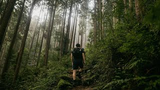 Hiking Japans Ancient Trail  Kumano Kodo Pilgrimage [upl. by Yarezed]