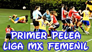 Pelea Andrea Sanchez vs Lizbeth Ovalle  Chivas vs Tigres  Liga MX Femenil [upl. by Terrance]