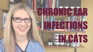 Chronic Ear Infection in Cats  Ask Dr Angie [upl. by Asabi]