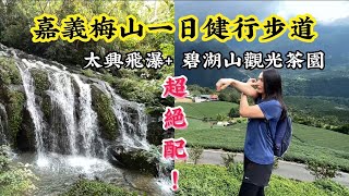 太興飛瀑 碧湖山觀光茶園｜絕配的嘉義梅山一日健行步道！2023828vlog [upl. by Genet136]