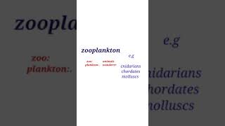 zooplankton vs phytoplankton  shorts [upl. by Eelreveb]