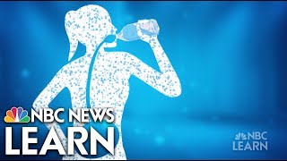 Get Healthy Hydration  NBC News Learn [upl. by Graves]