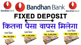 Bandhan Bank 500 Days FD Interest Rates 2024 Bandhan Bank Fixed Deposit Interest Rates [upl. by Giarg]