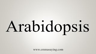 How To Say Arabidopsis [upl. by Afrikah]