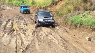 Forester Offroad Subaru Adventure Indonesia [upl. by Neerhtak]