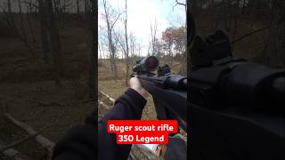 Best rifle in 350 Legend Ruger scout rifle best best hunting 350legend [upl. by Akyssej]