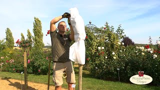 Rosen im Garten winterfest und frostsicher einpacken [upl. by Ailey]