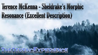 Terence McKenna  Sheldrakes Morphic Resonance Excellent Description [upl. by Piper530]