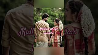 Mallikai mallikai panthalil song love tamil trendingshorts shortsvideo [upl. by Fulviah]