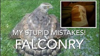 FALCONRY My mistakes 1 [upl. by Augustin]