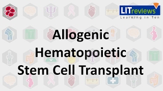 Allogeneic Stem Cell Transplant shorts [upl. by Limhaj]