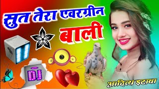 Sut Tera Evergrin Balie Dj Remix Song  सुत तेरा सदाबहार बाली💖Instagram Viral Song💞Dj Aditya Etawah [upl. by Germana]