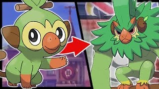 My Favorite Potential STARTER EVOLUTIONS in Pokemon Sword and Shield [upl. by Nole]