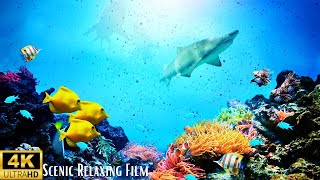 Ocean 4K  Scenic Relaxing Film  With Relaxing Music [upl. by Coulter]