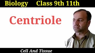 Centrioles  structure and function of centrioles  Class 9 and 11  Cell organelles [upl. by Annawik]