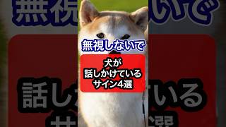 無視しないで！犬が話しかけているサインを獣医師が解説 犬 犬のいる暮らし 犬のいる生活 いぬ イヌ いぬのいる生活 獣医師 [upl. by Cross]