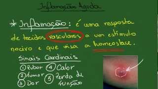 Inflamação Aguda  Resumo  Patologia Geral [upl. by Dannie691]