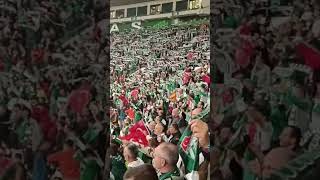 bursaspor lig kusursuz [upl. by Ynos832]