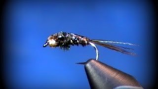 Fly Tying Flashback Pheasant Tail [upl. by Elleinwad457]