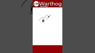 How to draw a warthog wild pig easy drawing for beginners howtodraw lidoartworks [upl. by Kadner24]