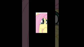 FLUTTERSHY❤ [upl. by Vigor95]