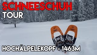 Schneeschuhtour aufs Hochälpele am Bödele [upl. by Neibart]