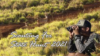 Hawaii Axis Deer  2021 Lāna‘i State Hunt Prep [upl. by Naitsirk535]