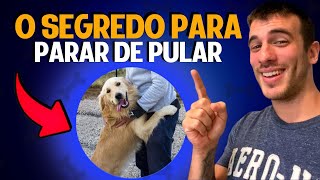 Como Fazer o Seu Cachorro Parar de Pular TREINO NA PRÁTICA [upl. by Laurel557]