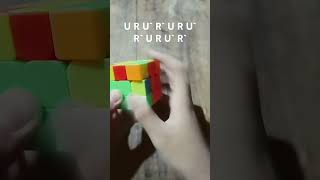 F2L part 5 rubikscubesolution rubikscubetutorial puzzle [upl. by Nomelc530]