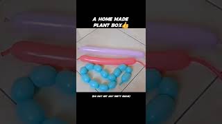 A home made plant box viral trending shorts [upl. by Naesad]