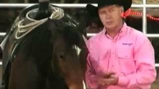 Horse Training with John Lyons  The Head Shy Horse [upl. by Joelle360]