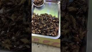 Pattaya Runway Street Food  Bugs [upl. by Milt]