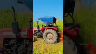 Jwar katne ki masin tochen tractordriving shortsfeed farming tractortochen automobile farmer [upl. by Toby]