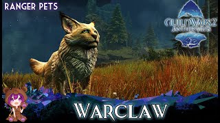 GW2 Warclaw Ranger Pet [upl. by Leisam]