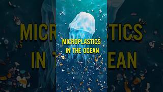 Microplastics In The Ocean [upl. by Naols]