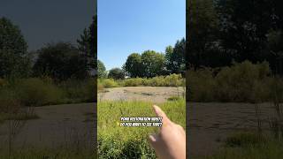 Pond Restoration Video [upl. by Okikuy]