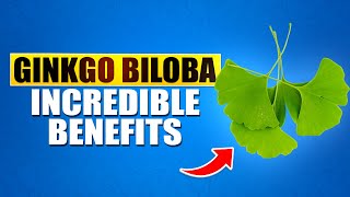 What Are The Top 7 Benefits Of Ginkgo Biloba Find Out Here  Remedies Haven [upl. by O'Meara491]