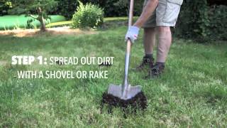 Gardenings Most Wanted Managing Moles in Your Landscape [upl. by Larue]