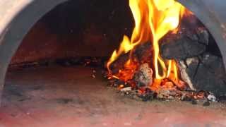 Chapala Tonala Pizza Oven [upl. by Orpah]