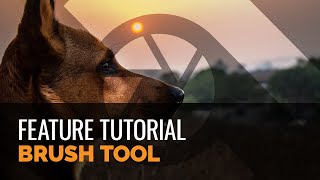 Brush Tool  Tutorial [upl. by Syverson106]