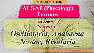 Lecture 9  Oscillatoria Anabaena Nostoc amp Rivularia Life Cycle Cyanophyceae  Algae [upl. by Neira456]