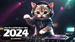 The Best EDM Music Mix 2024 🎧 By SYNTHEZA [upl. by Curzon]