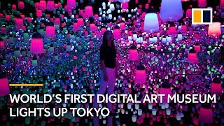 World’s first digital art museum lights up Tokyo Japan [upl. by Maroney]