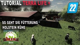 LS22  TerraLife  Tutorial  Fütterung der Holstein Kühe und Bullen [upl. by Aylatan354]