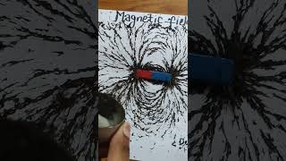 Magnetic Field lines class10 science magnetism shorts physicslove [upl. by Barabbas]