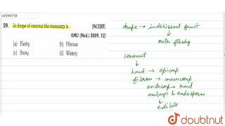 In drupe of coconut the mesocarp is [upl. by Eelahc]