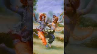 Braj jan priytam Balmukundam radha raman hare hare कृष्णा भक्ति Jai shree Krishna shorts radhey [upl. by Tnomad181]